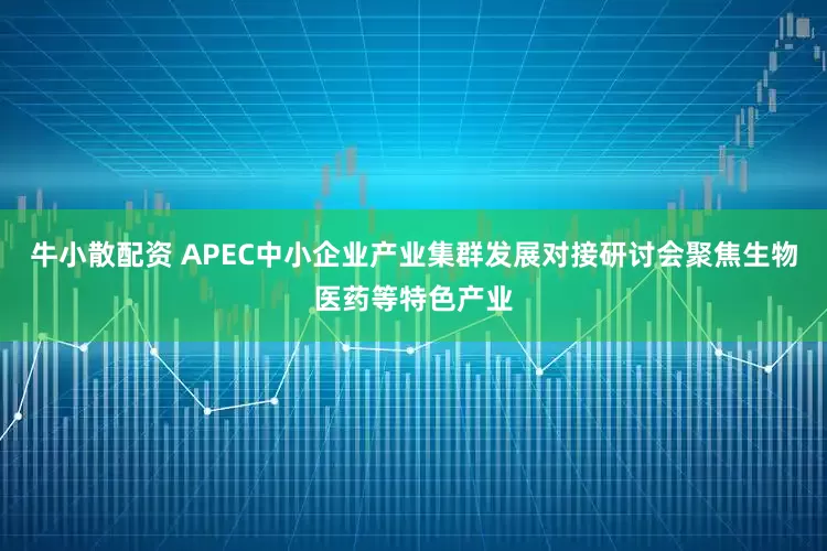 牛小散配资 APEC中小企业产业集群发展对接研讨会聚焦生物医药等特色产业