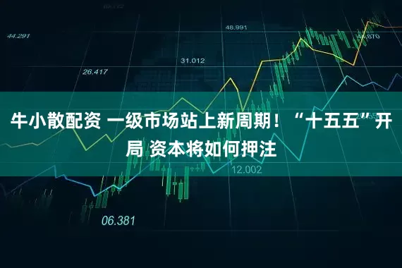 牛小散配资 一级市场站上新周期！“十五五”开局 资本将如何押注