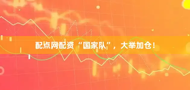 配点网配资 “国家队”，大举加仓！