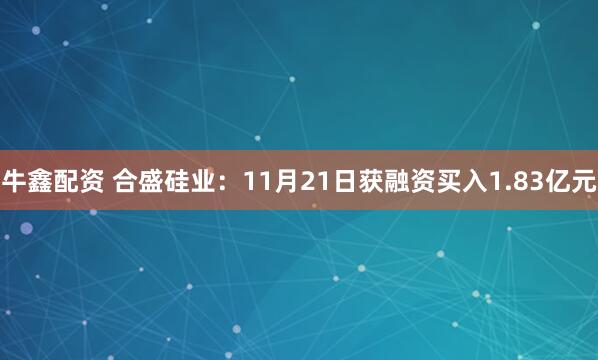 牛鑫配资 合盛硅业：11月21日获融资买入1.83亿元