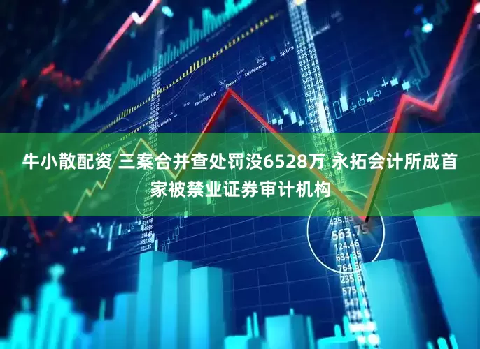 牛小散配资 三案合并查处罚没6528万 永拓会计所成首家被禁业证券审计机构